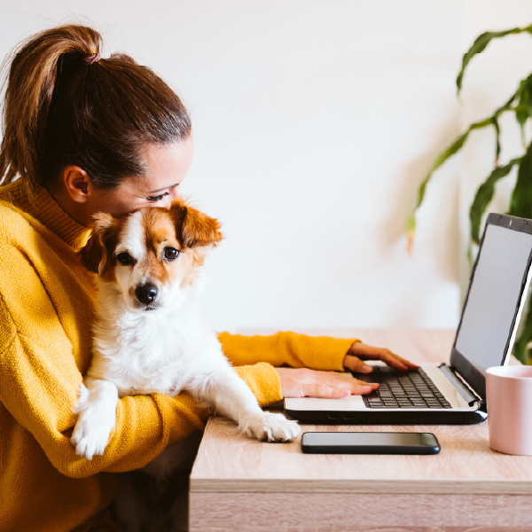 woman on a computer with her dog