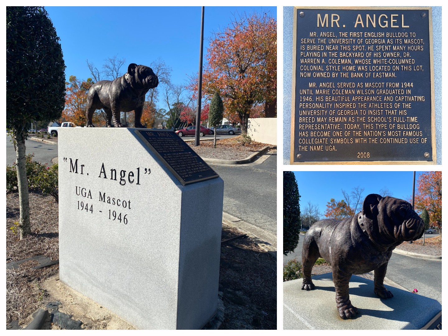 Collage of Mr. Angel the UGA mascot