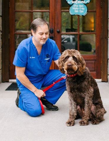 man in veterinarian uniform petting dog